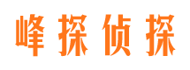 寻乌市调查公司